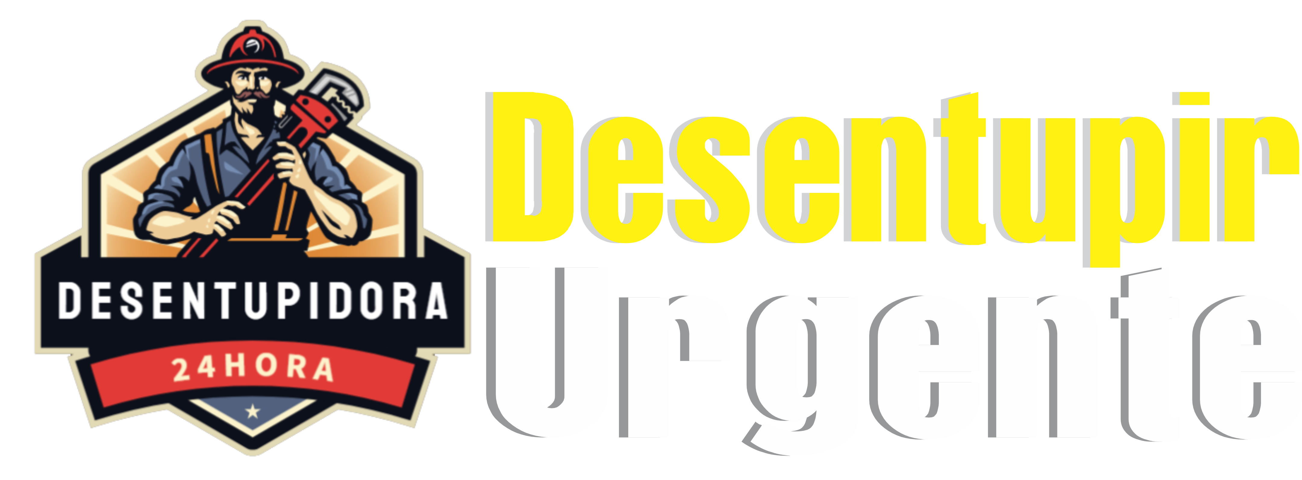 Caraguata Desentupidora